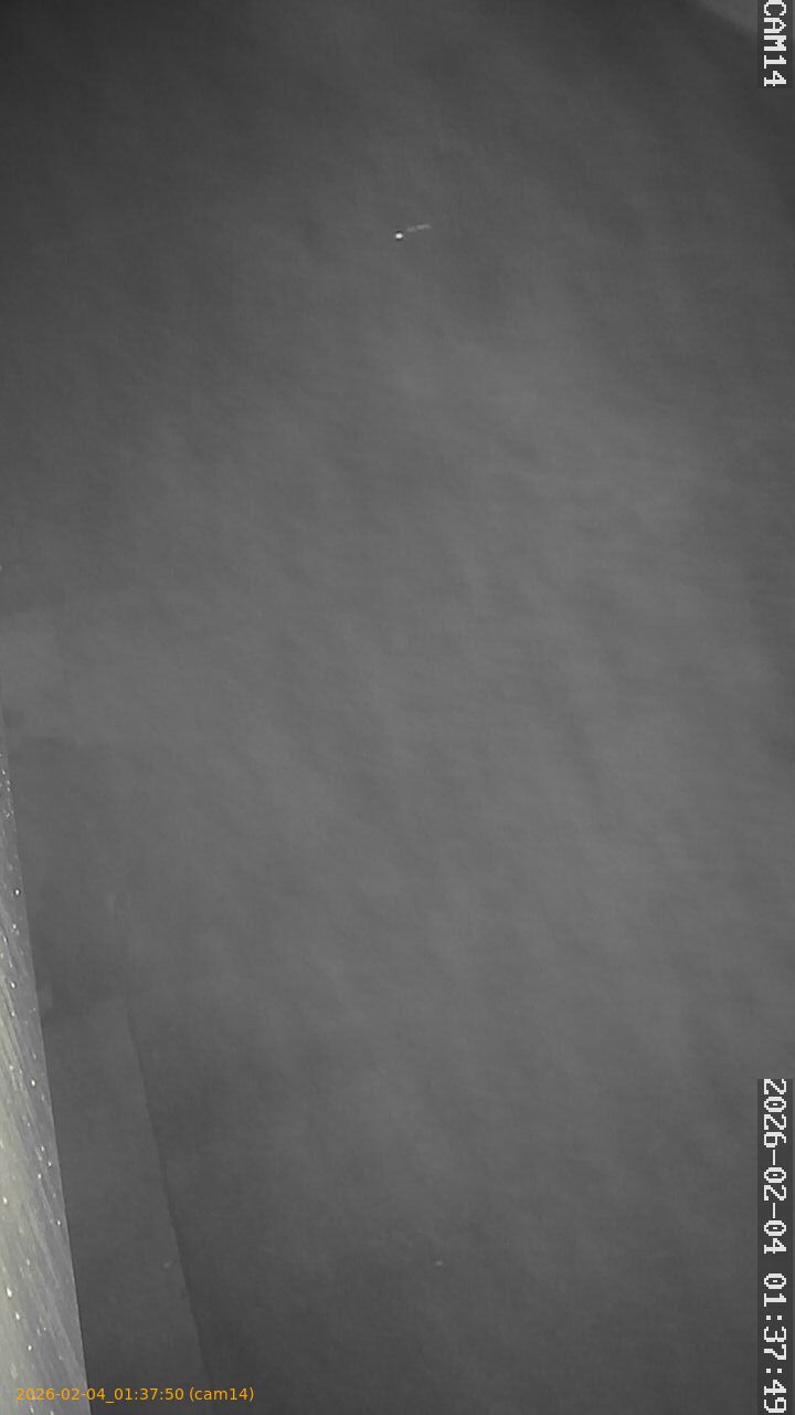 thumbnail_20260204013750