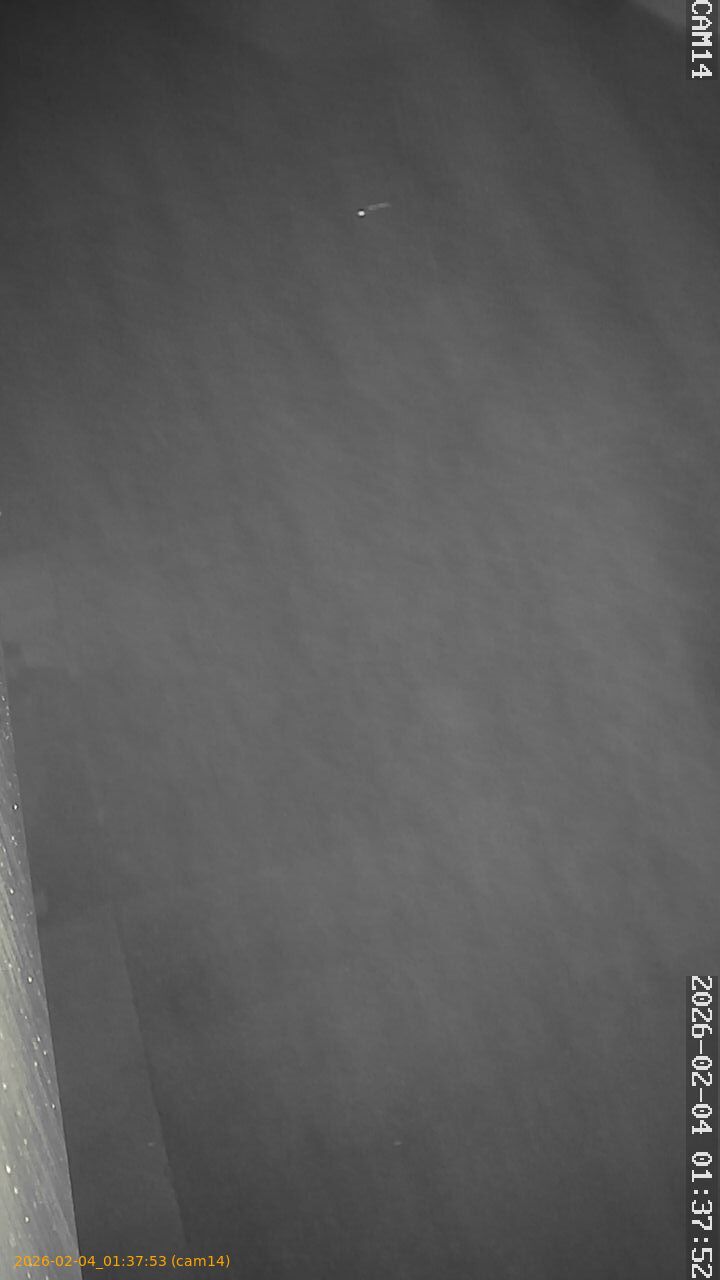 thumbnail_20260204013753