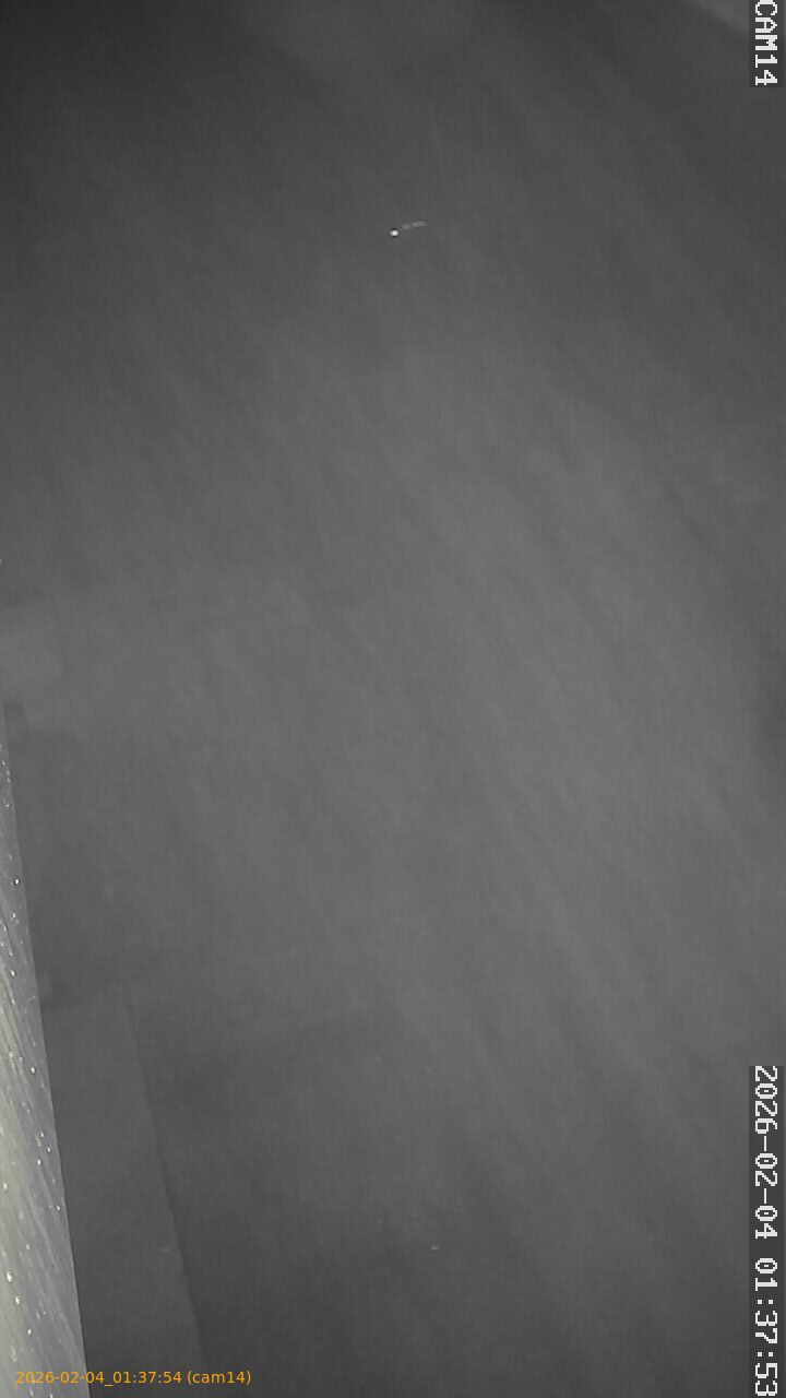 thumbnail_20260204013754