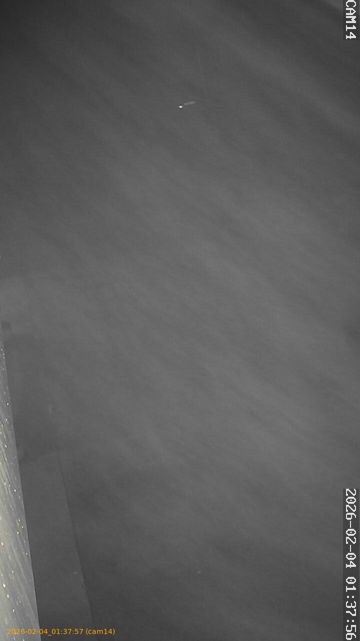 thumbnail_20260204013757