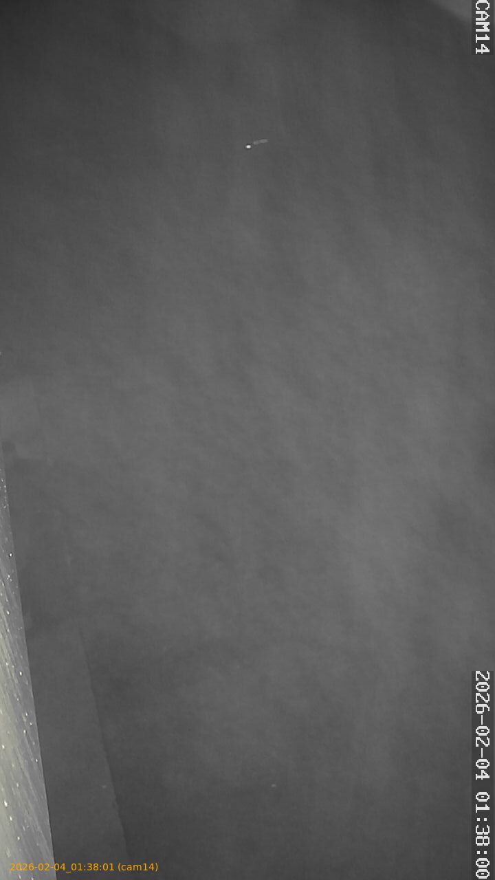 thumbnail_20260204013801