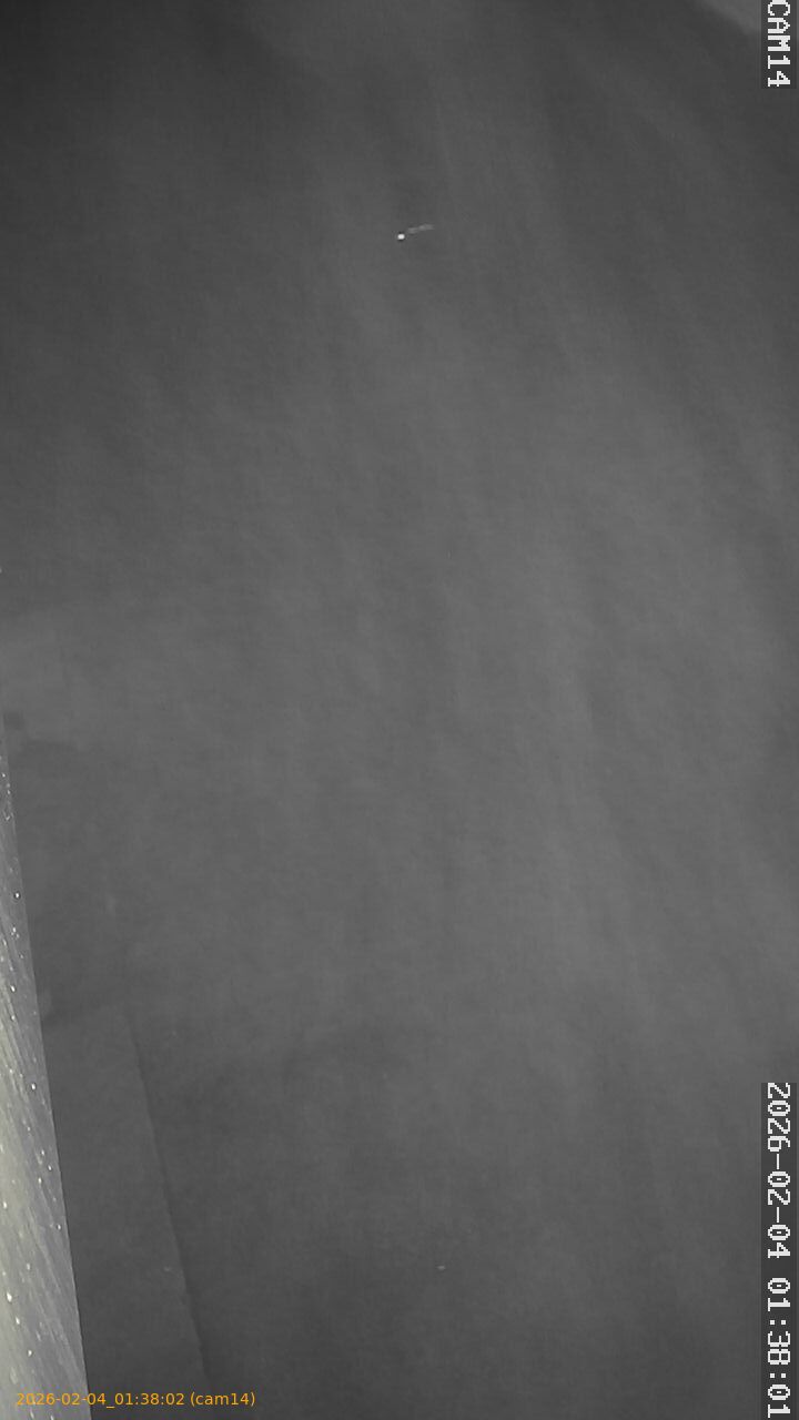 thumbnail_20260204013802