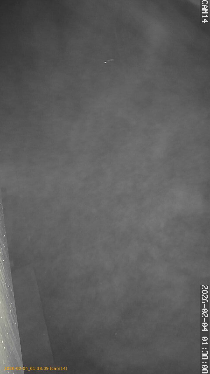 thumbnail_20260204013809