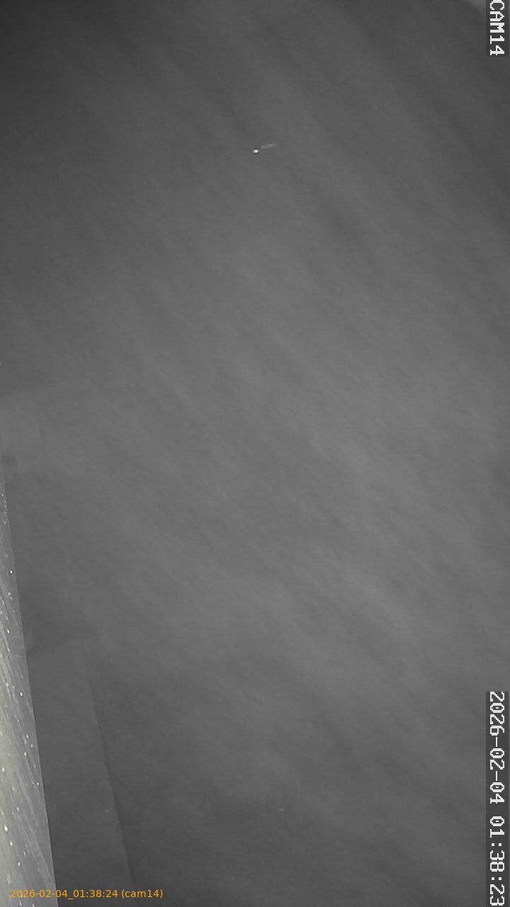 thumbnail_20260204013824