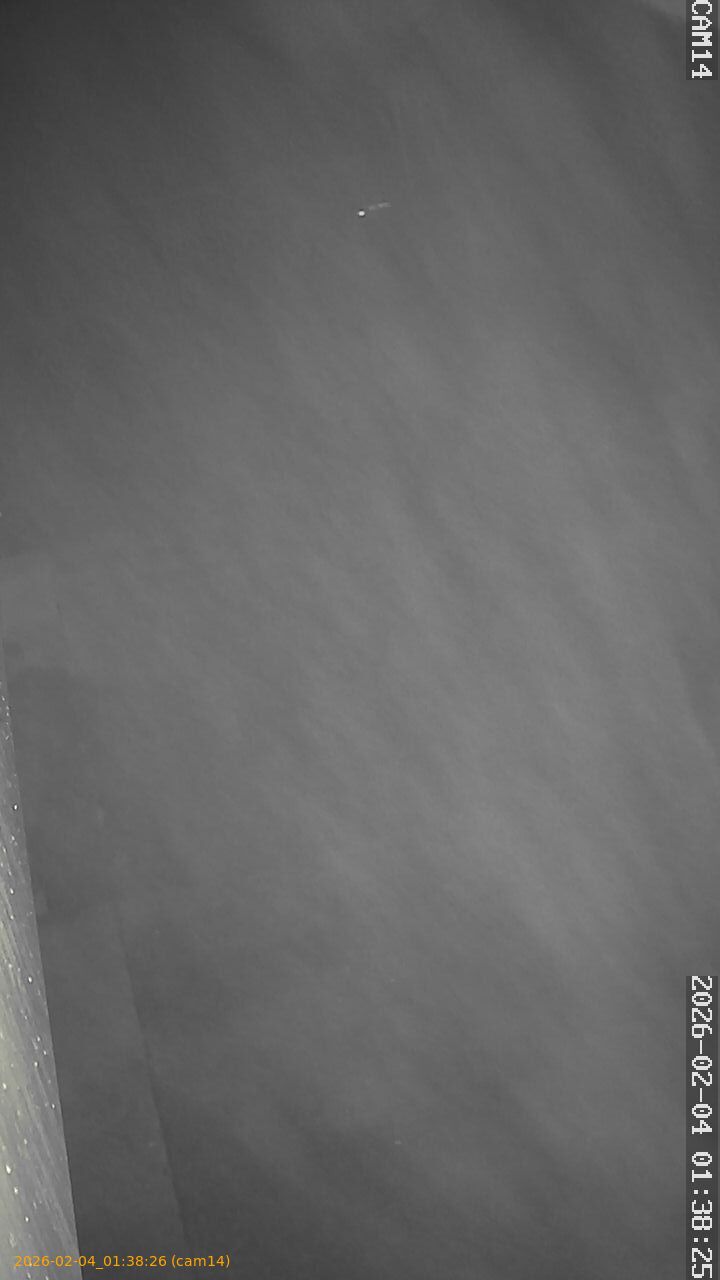 thumbnail_20260204013826