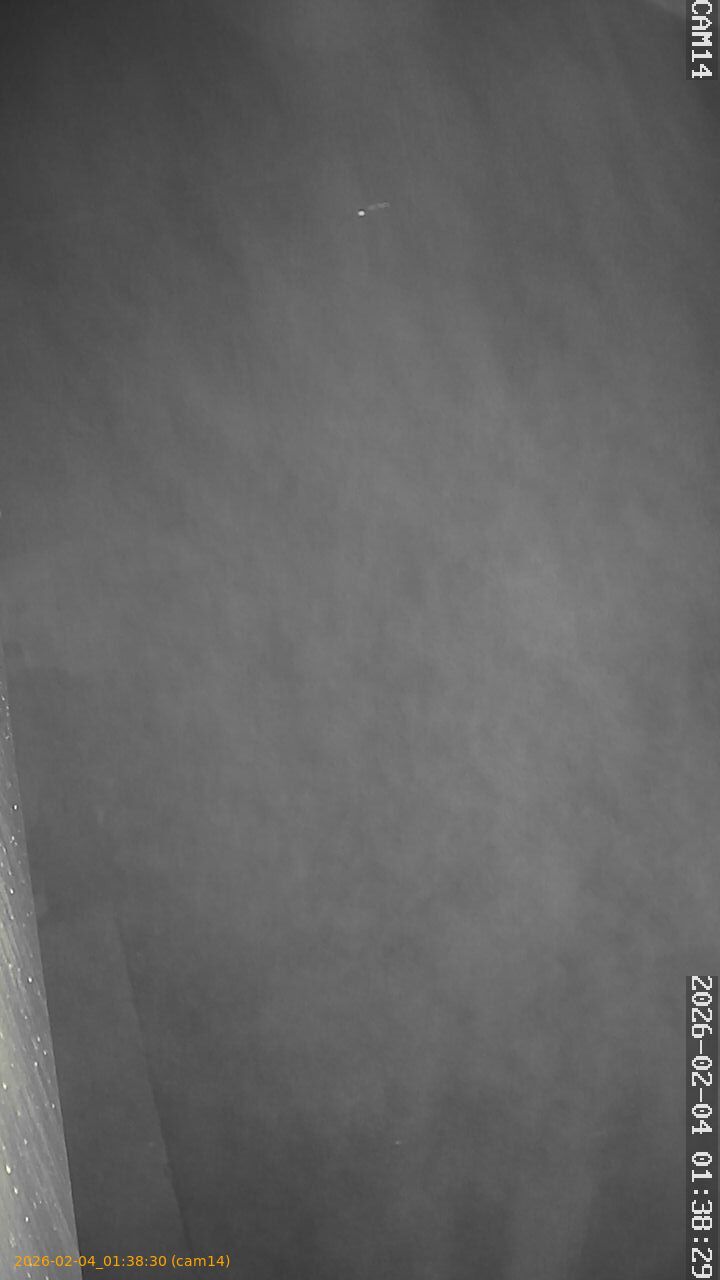 thumbnail_20260204013830