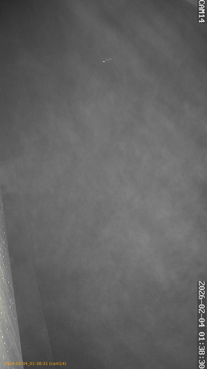 thumbnail_20260204013831