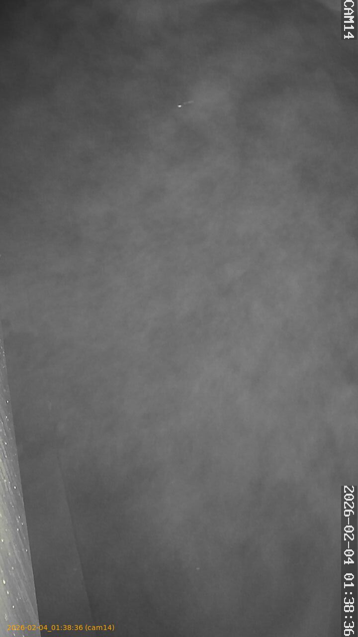 thumbnail_20260204013836