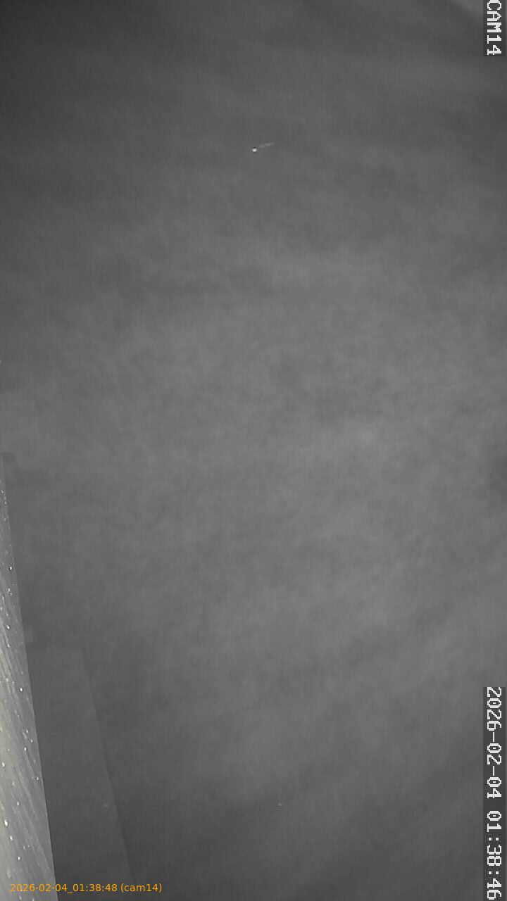 thumbnail_20260204013848