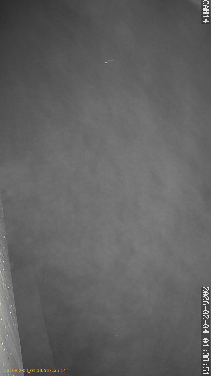 thumbnail_20260204013853