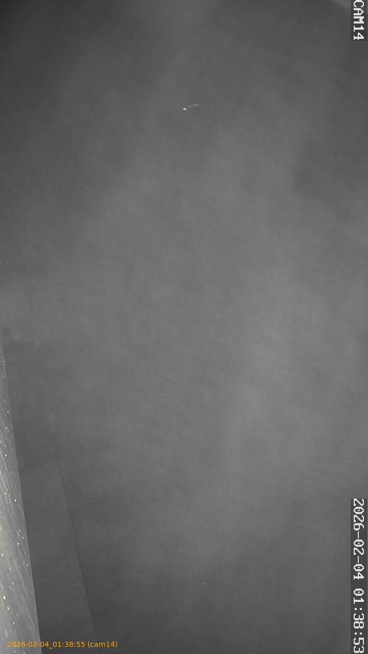 thumbnail_20260204013855