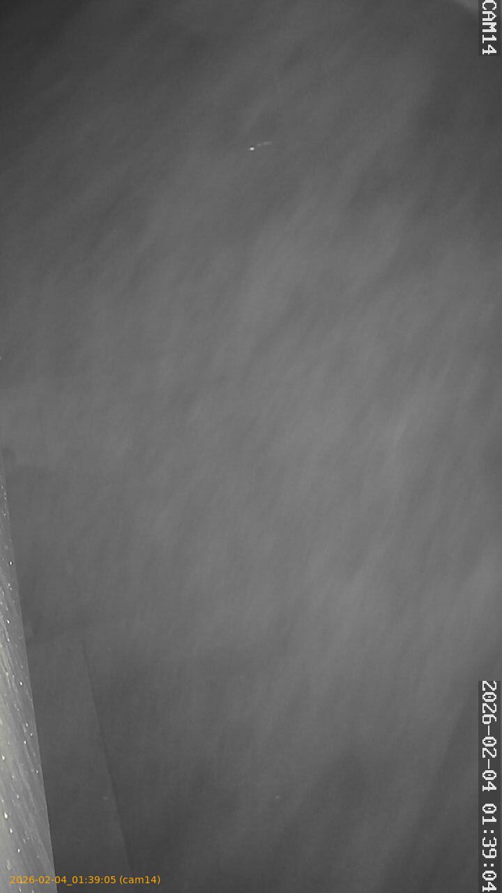 thumbnail_20260204013905