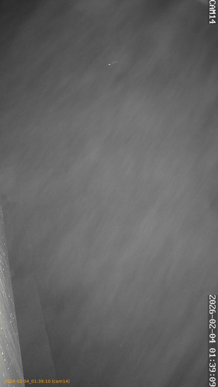 thumbnail_20260204013910