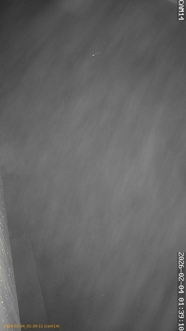 thumbnail_20260204013911