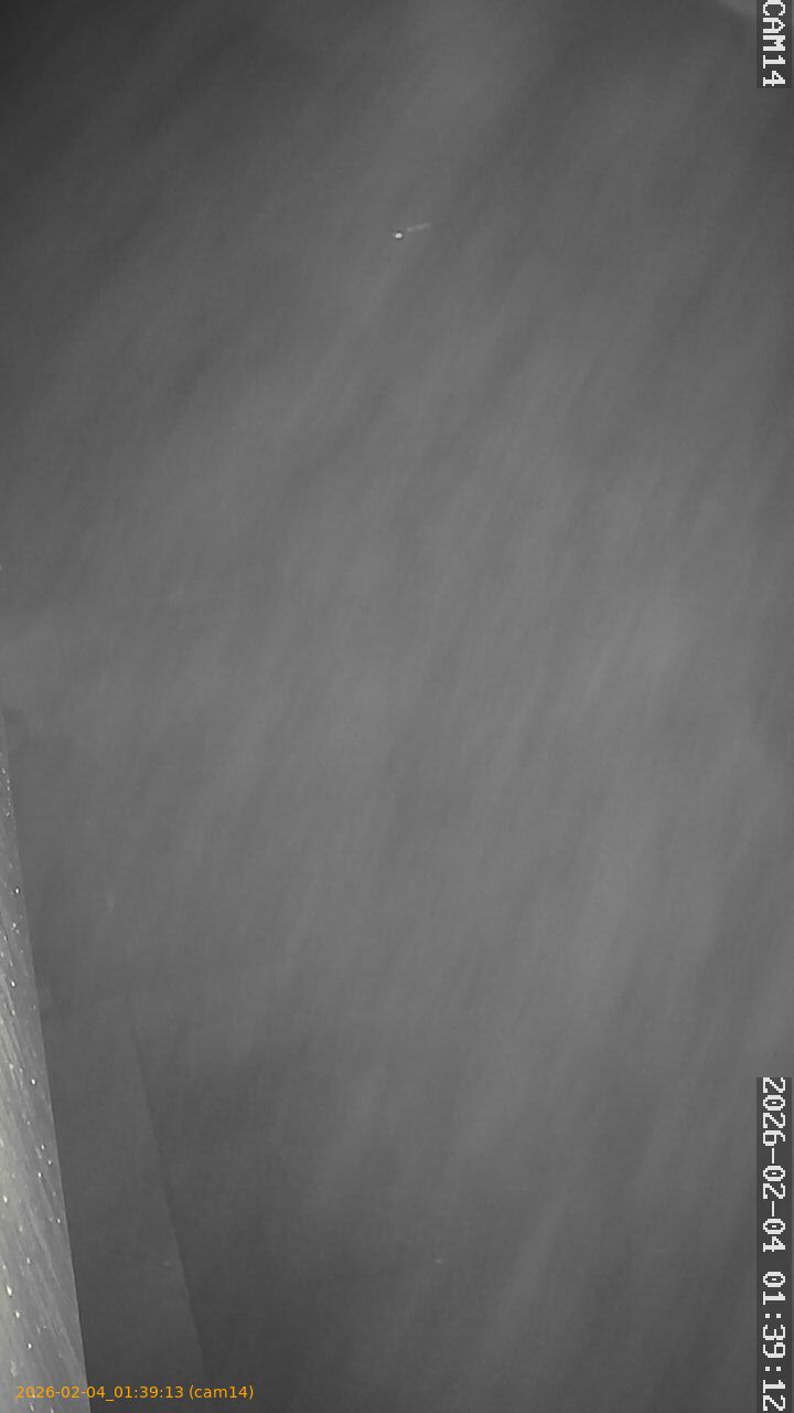 thumbnail_20260204013913