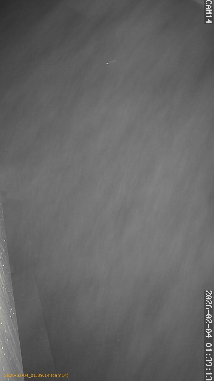 thumbnail_20260204013914