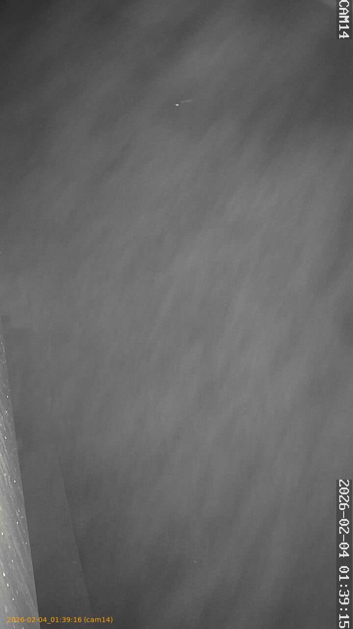 thumbnail_20260204013916