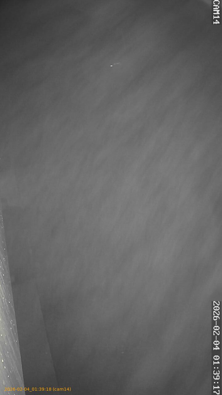 thumbnail_20260204013918