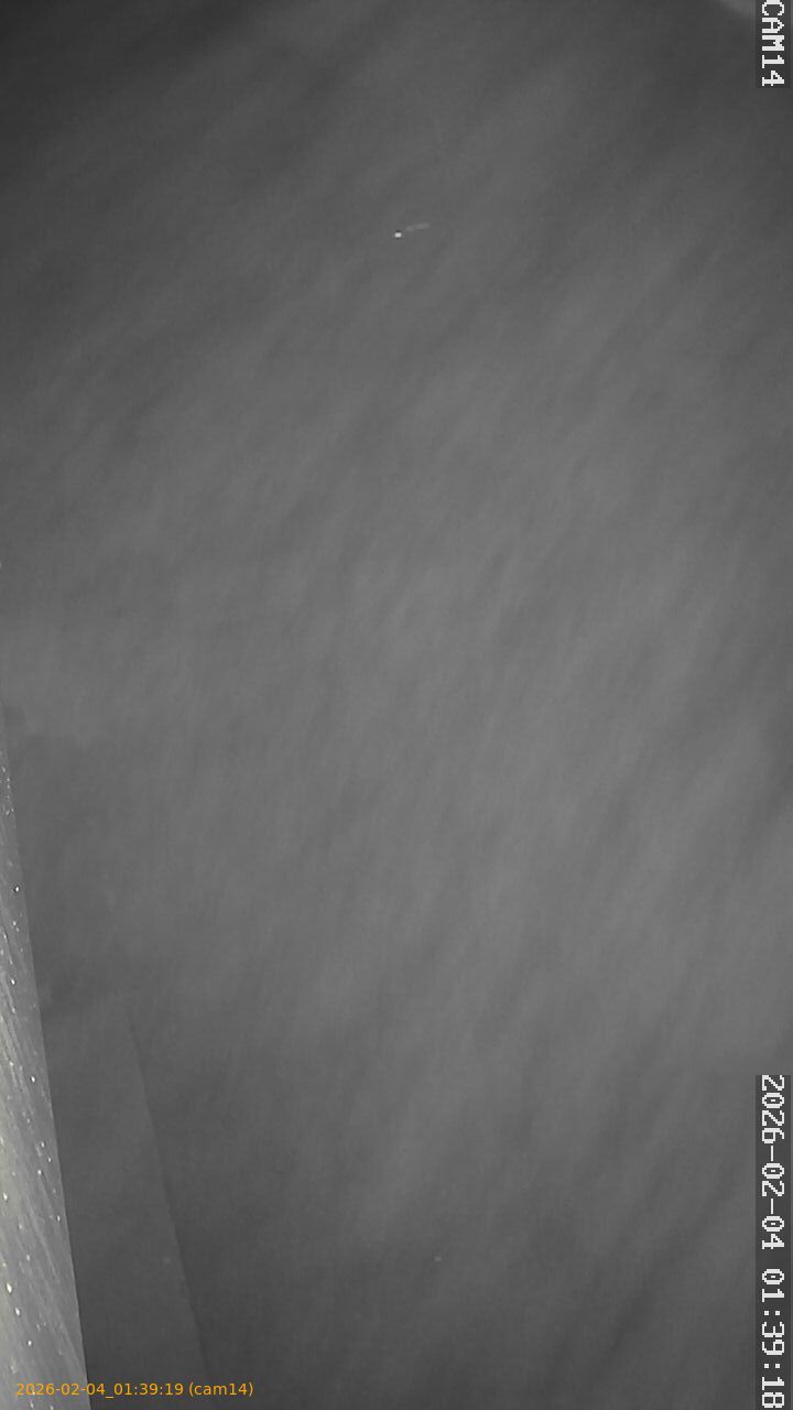 thumbnail_20260204013919