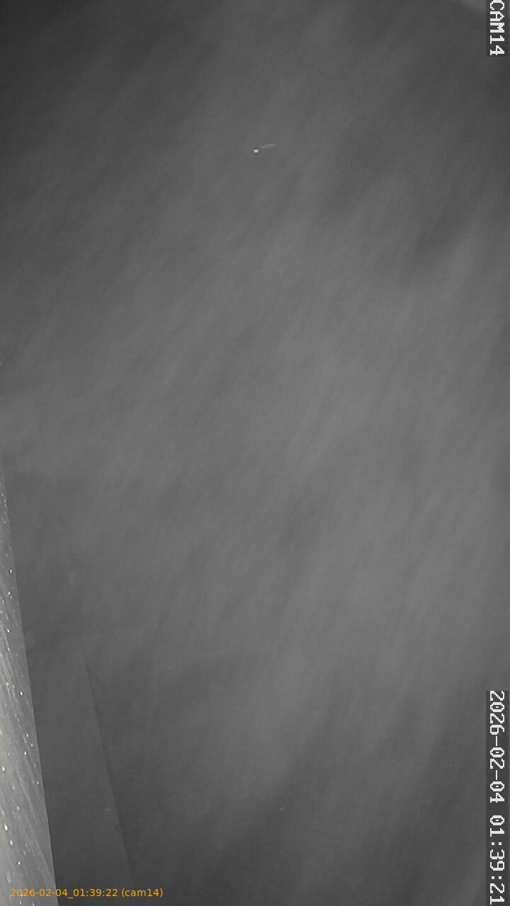 thumbnail_20260204013922