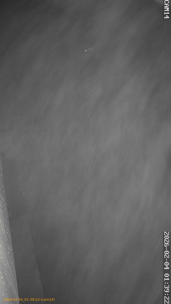 thumbnail_20260204013923