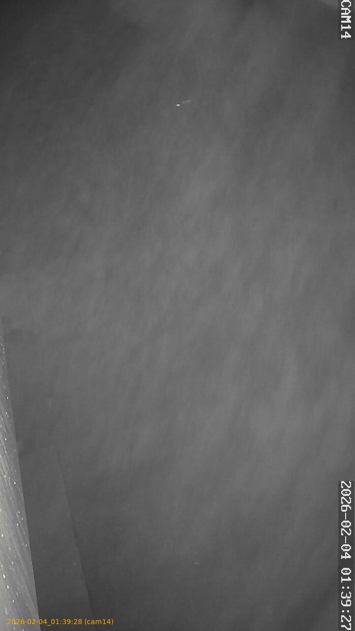 thumbnail_20260204013928