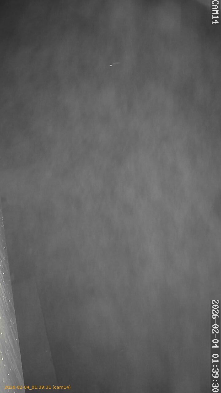 thumbnail_20260204013931