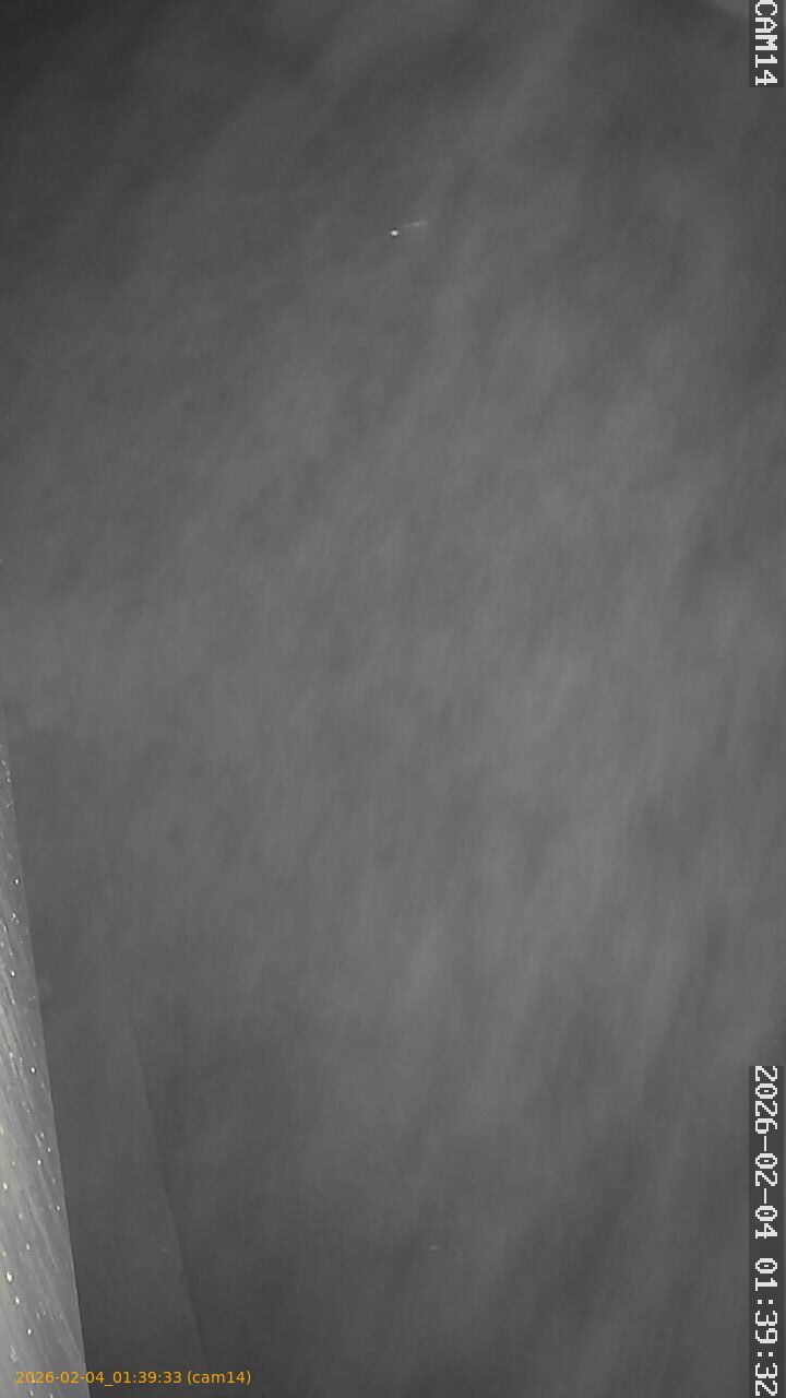 thumbnail_20260204013933