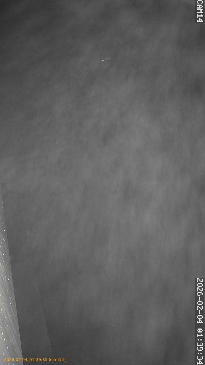 thumbnail_20260204013935