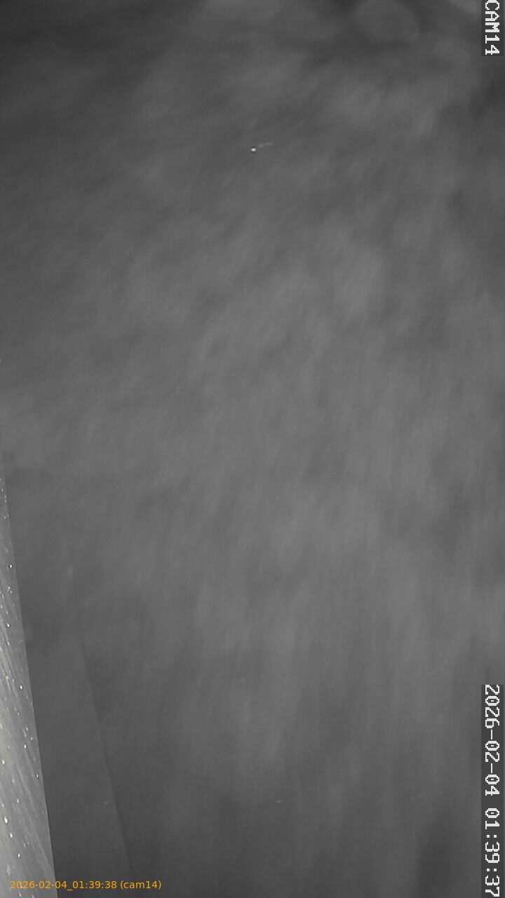 thumbnail_20260204013938