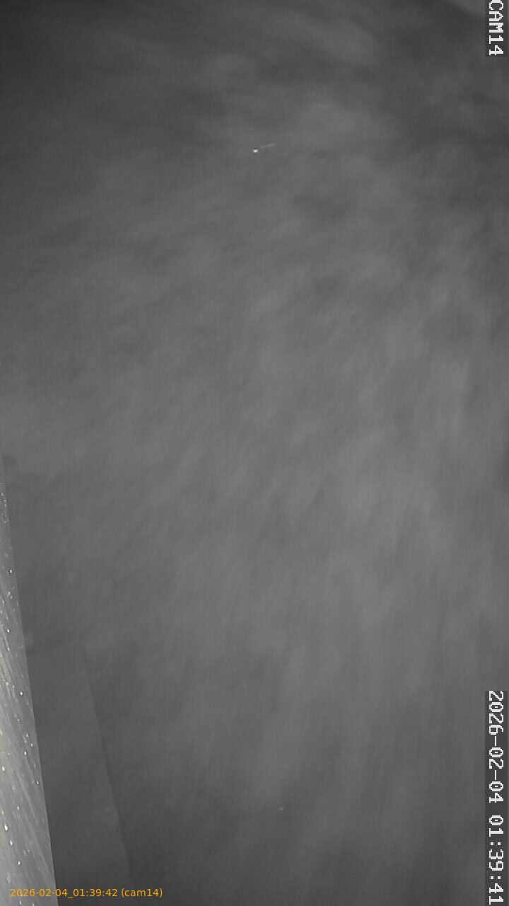 thumbnail_20260204013942