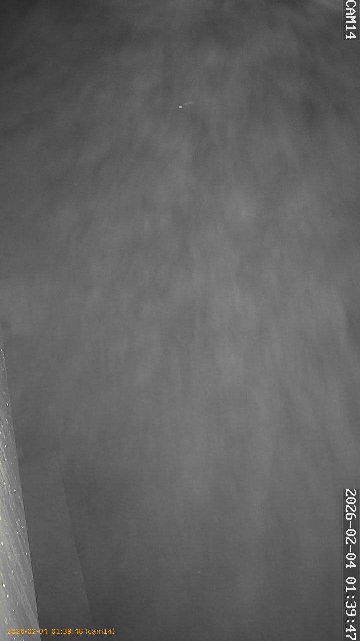 thumbnail_20260204013948