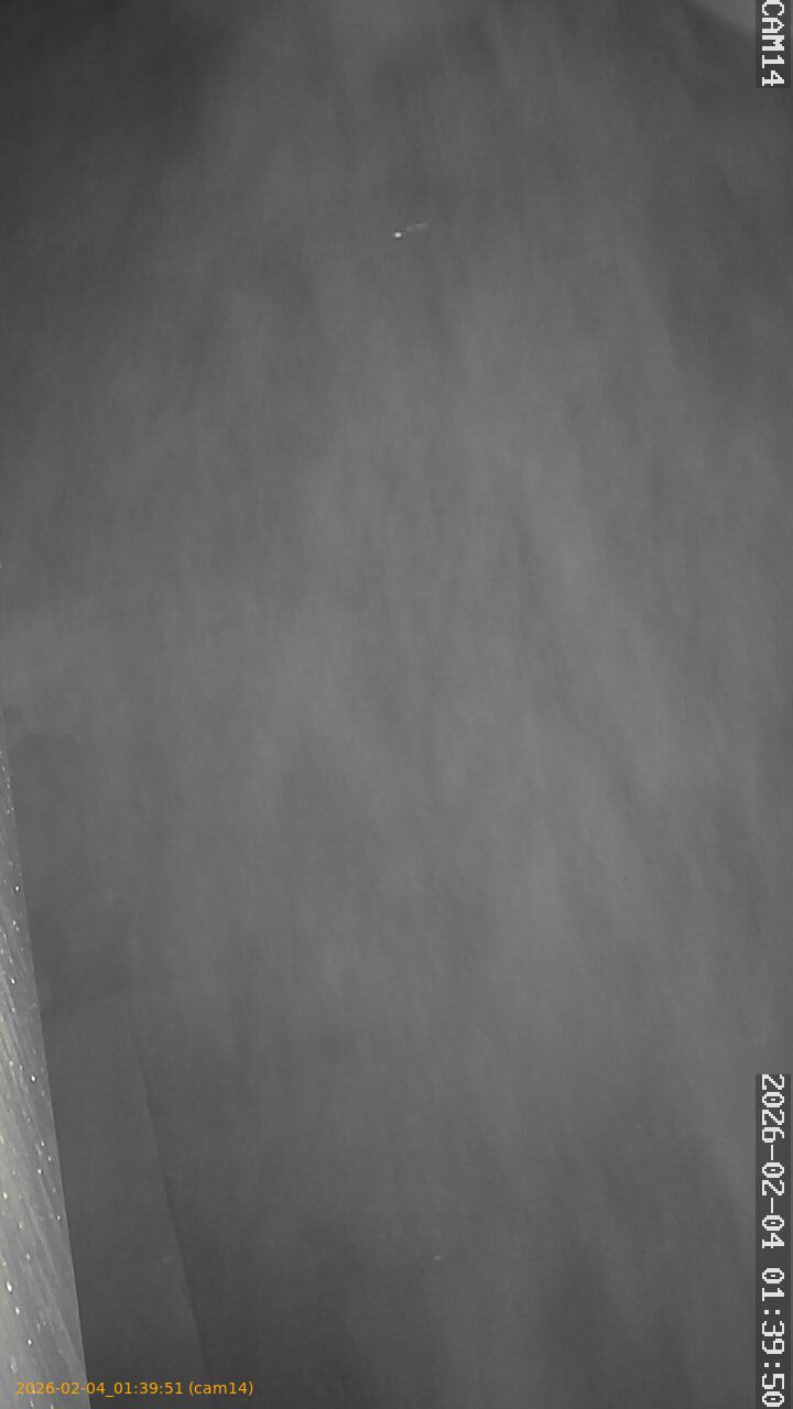 thumbnail_20260204013951