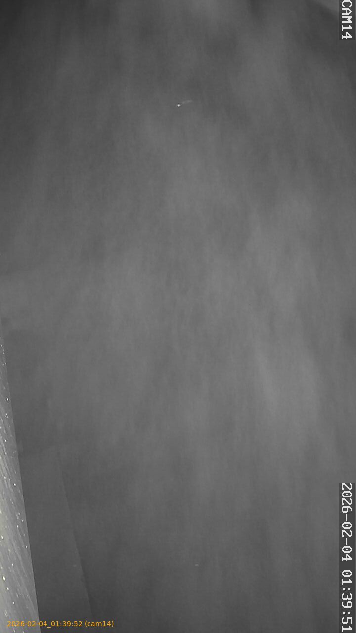 thumbnail_20260204013952