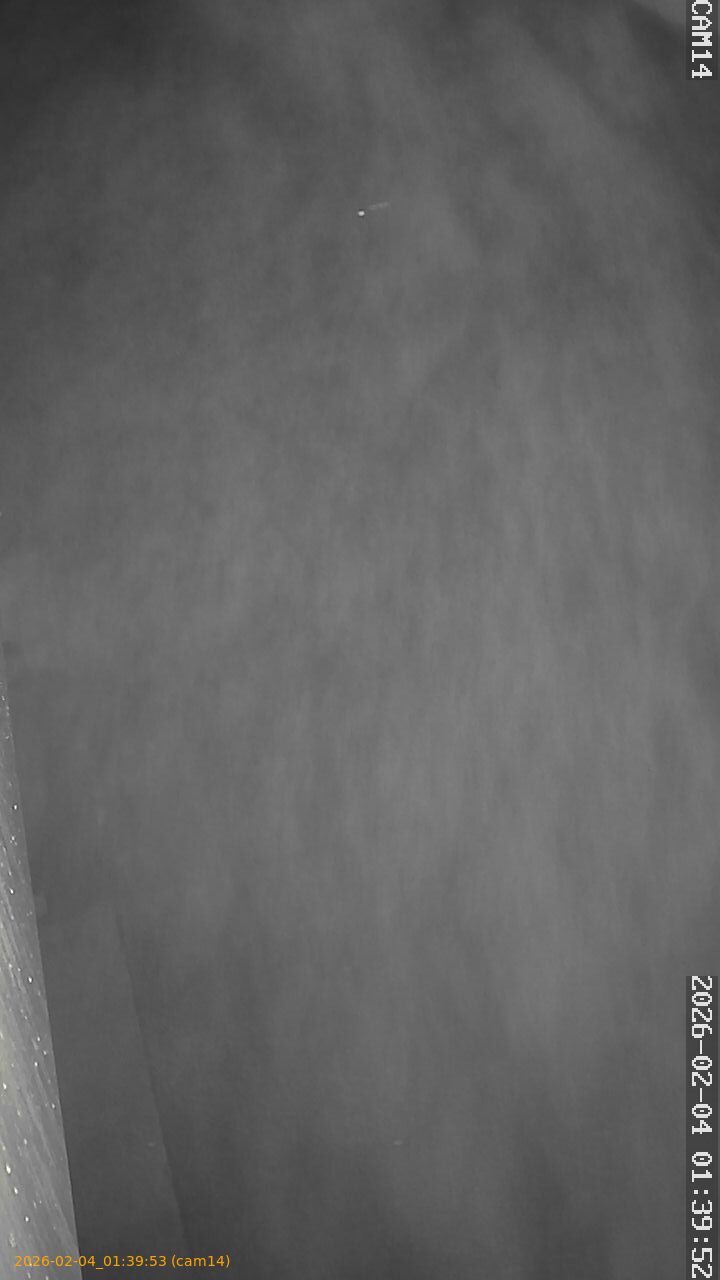 thumbnail_20260204013953