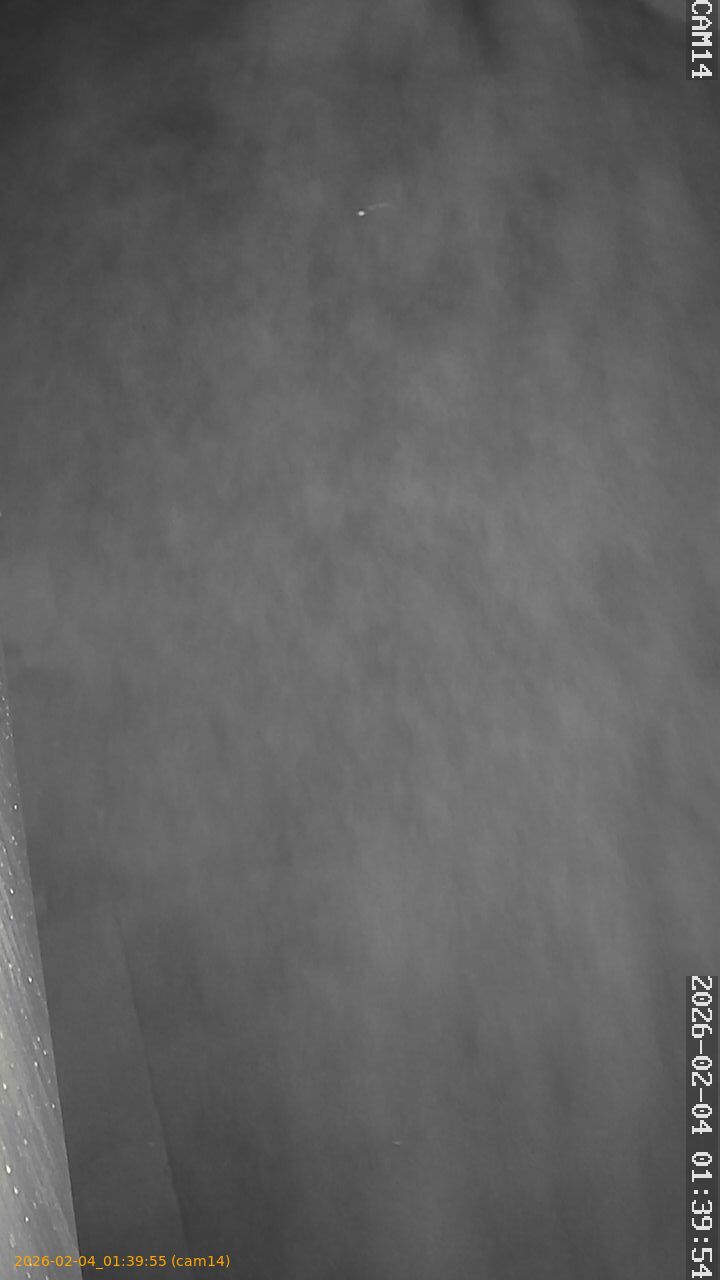 thumbnail_20260204013955