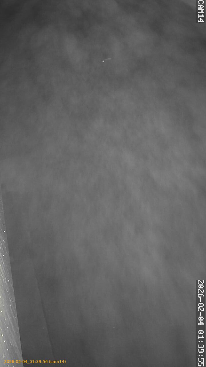 thumbnail_20260204013956