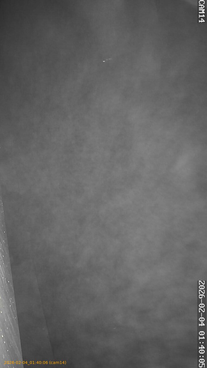 thumbnail_20260204014006