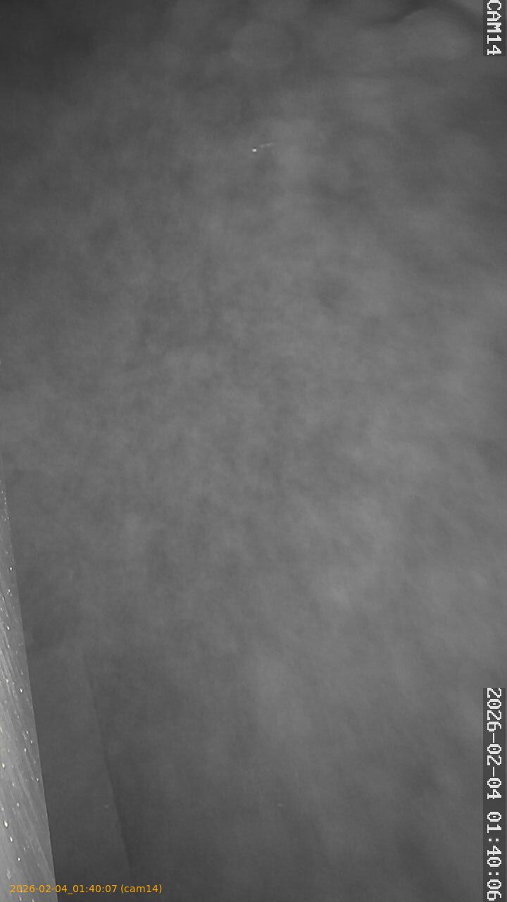 thumbnail_20260204014007