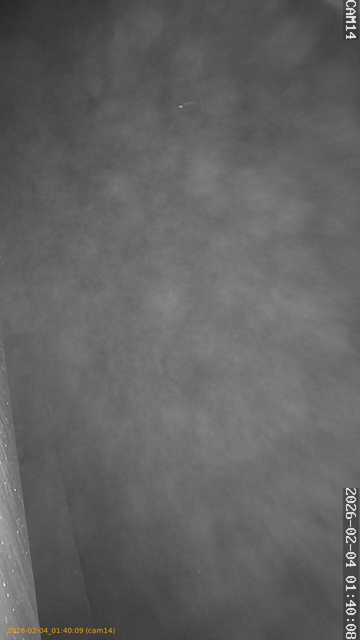 thumbnail_20260204014009