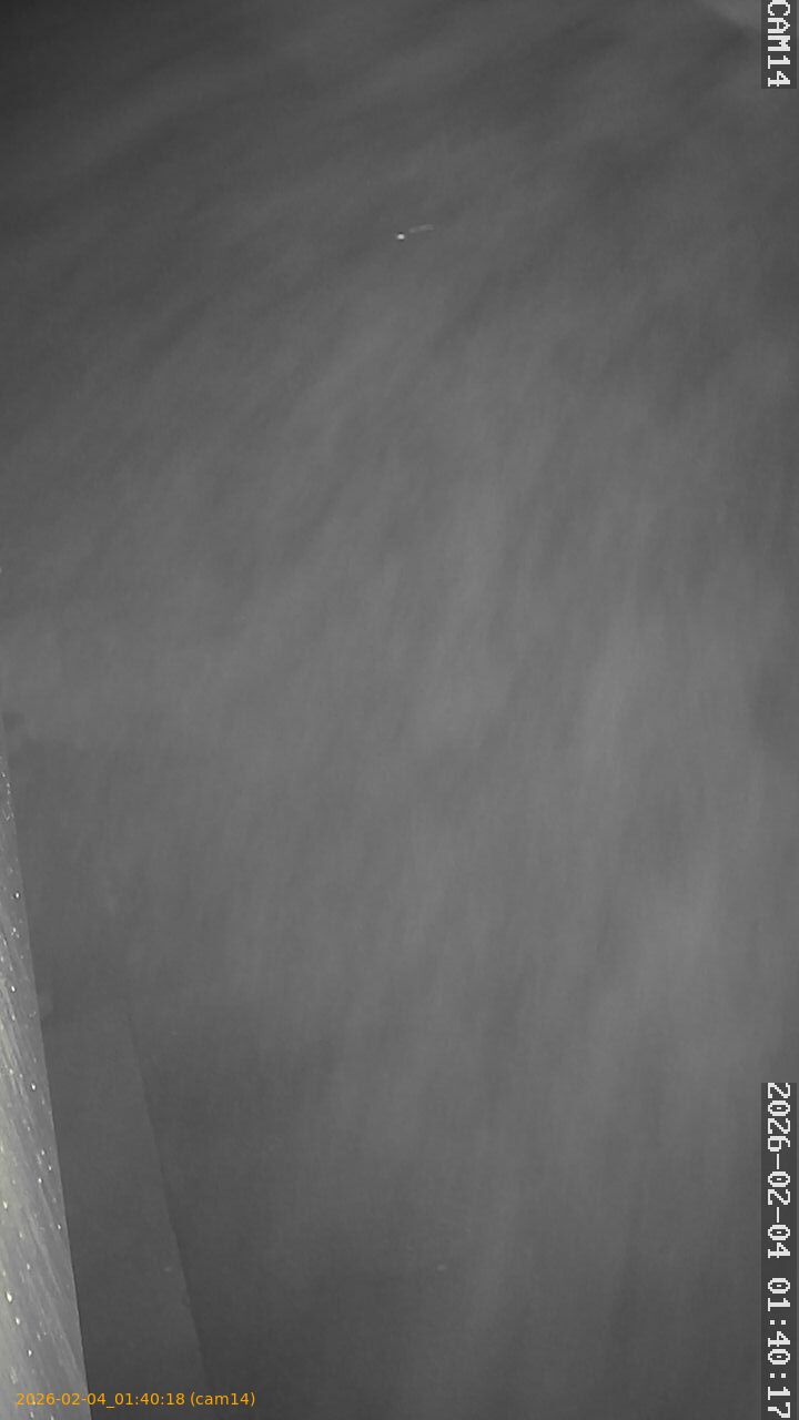 thumbnail_20260204014018