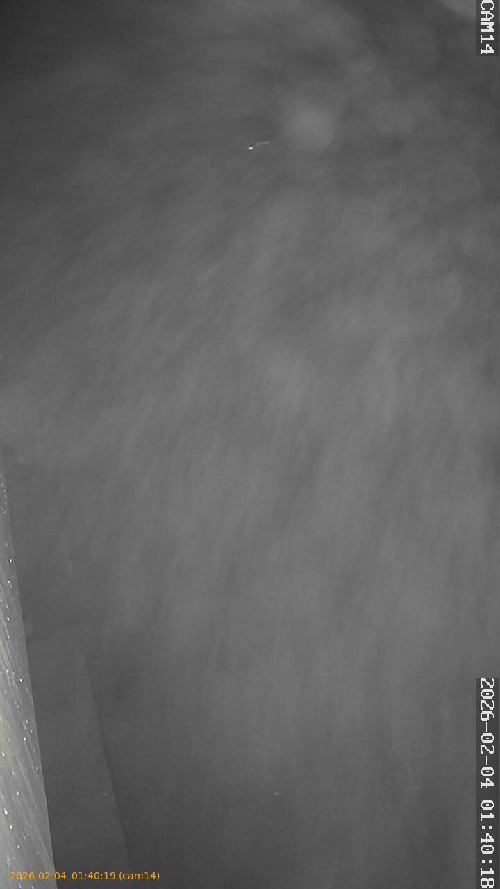 thumbnail_20260204014019