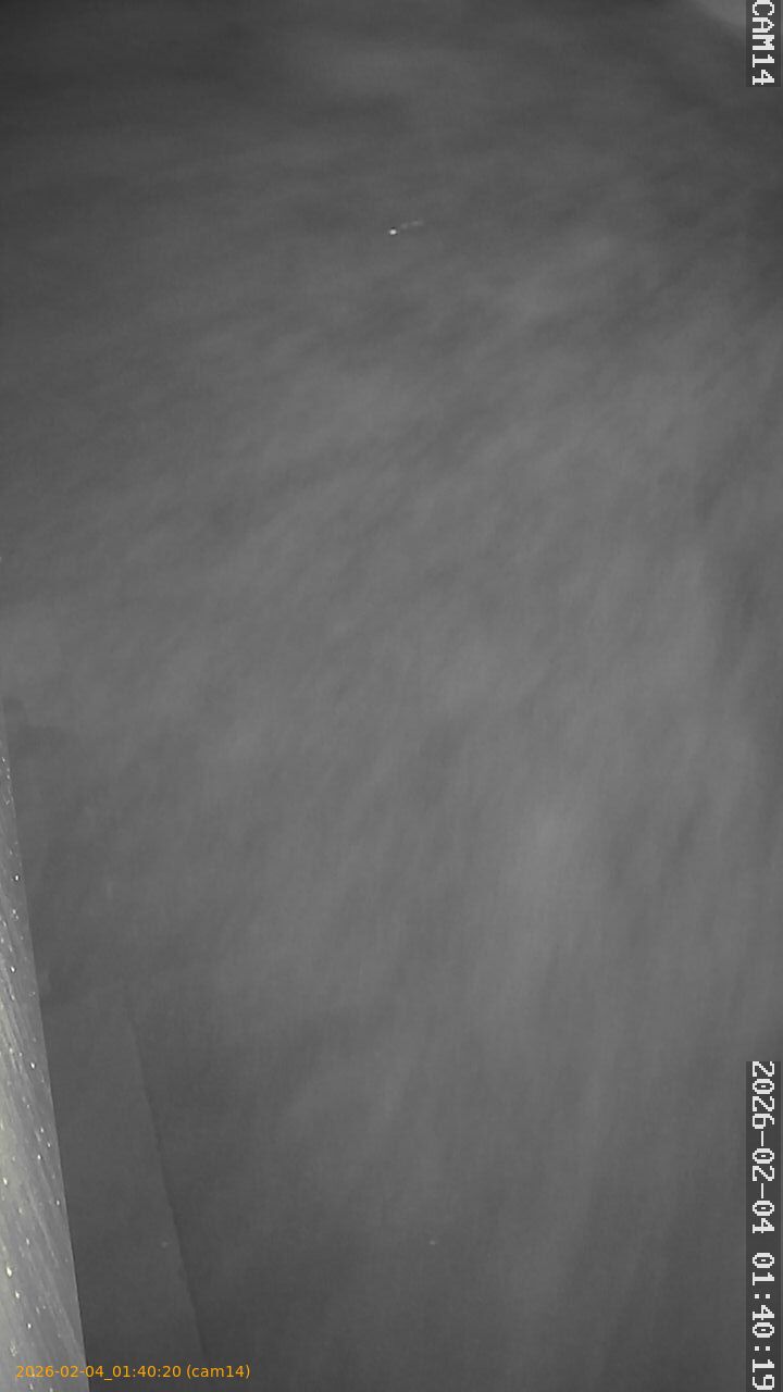 thumbnail_20260204014020