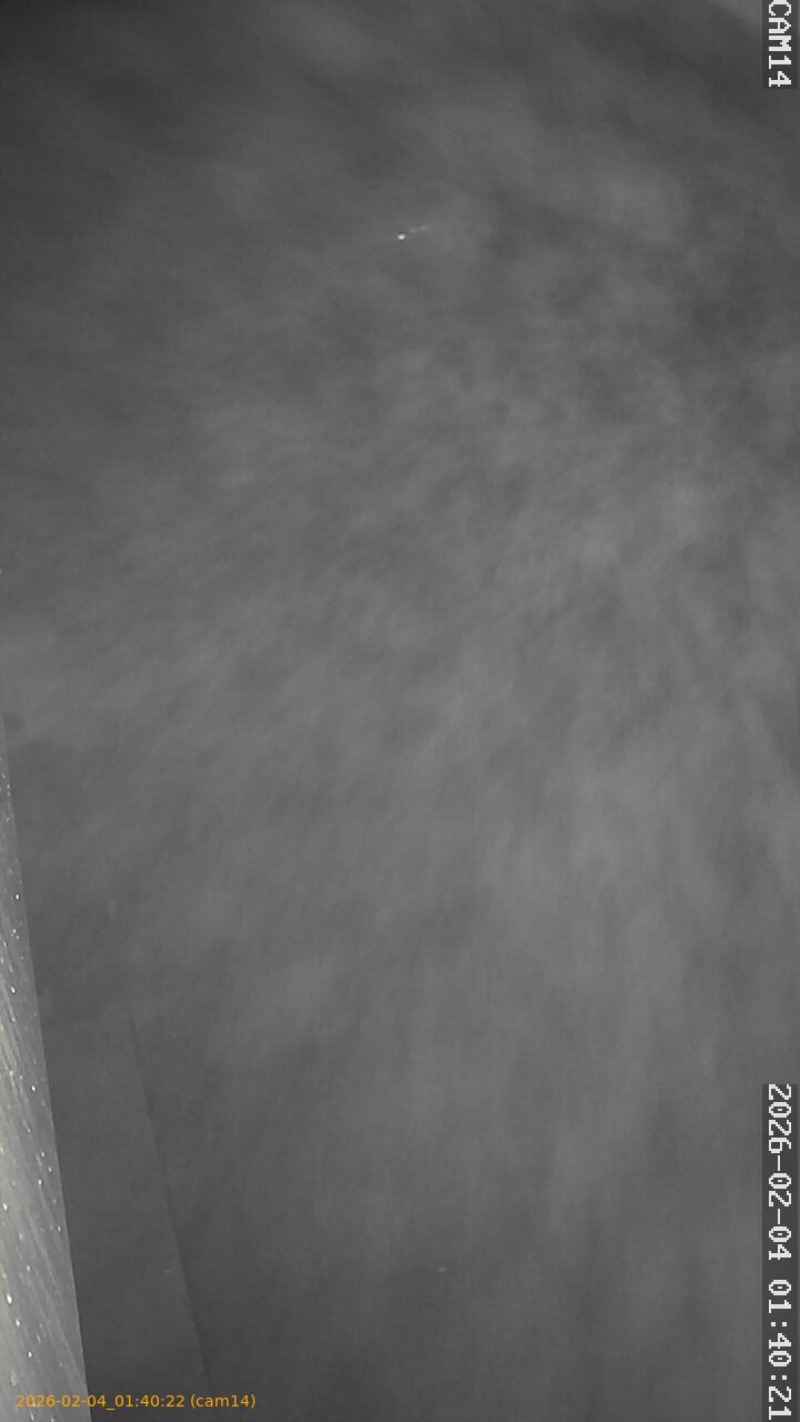 thumbnail_20260204014022