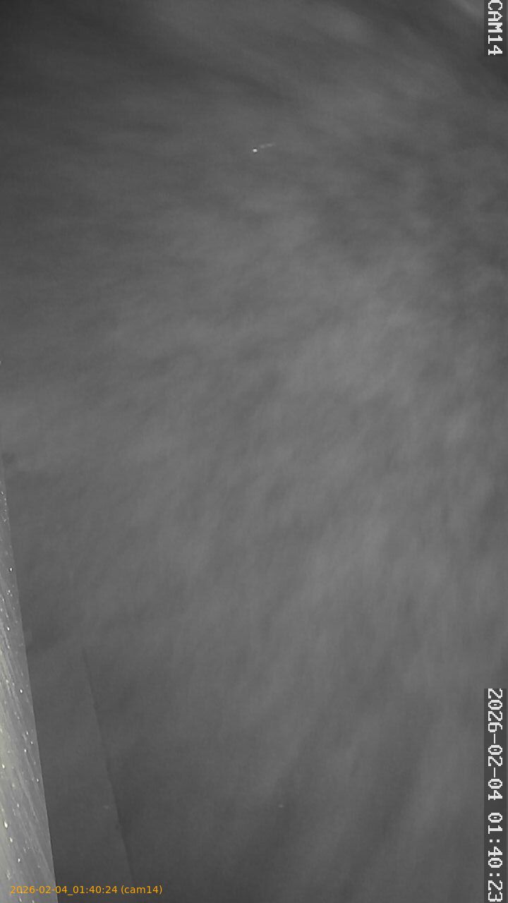 thumbnail_20260204014024