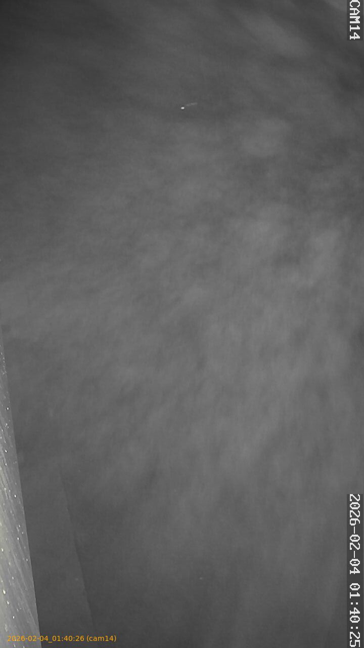 thumbnail_20260204014026