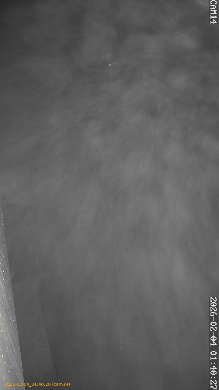 thumbnail_20260204014028