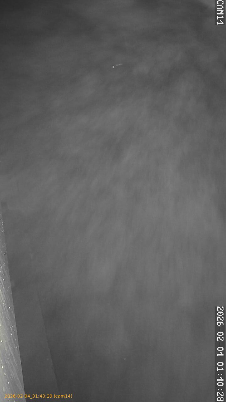 thumbnail_20260204014029