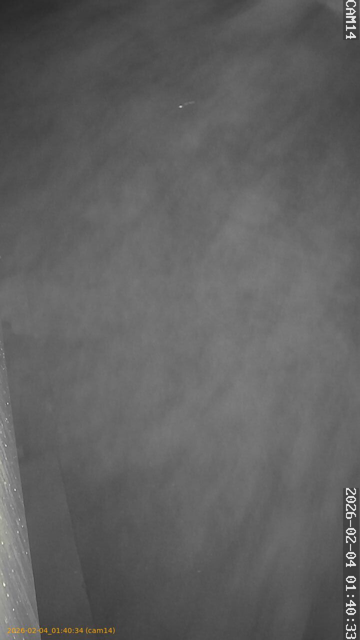 thumbnail_20260204014034