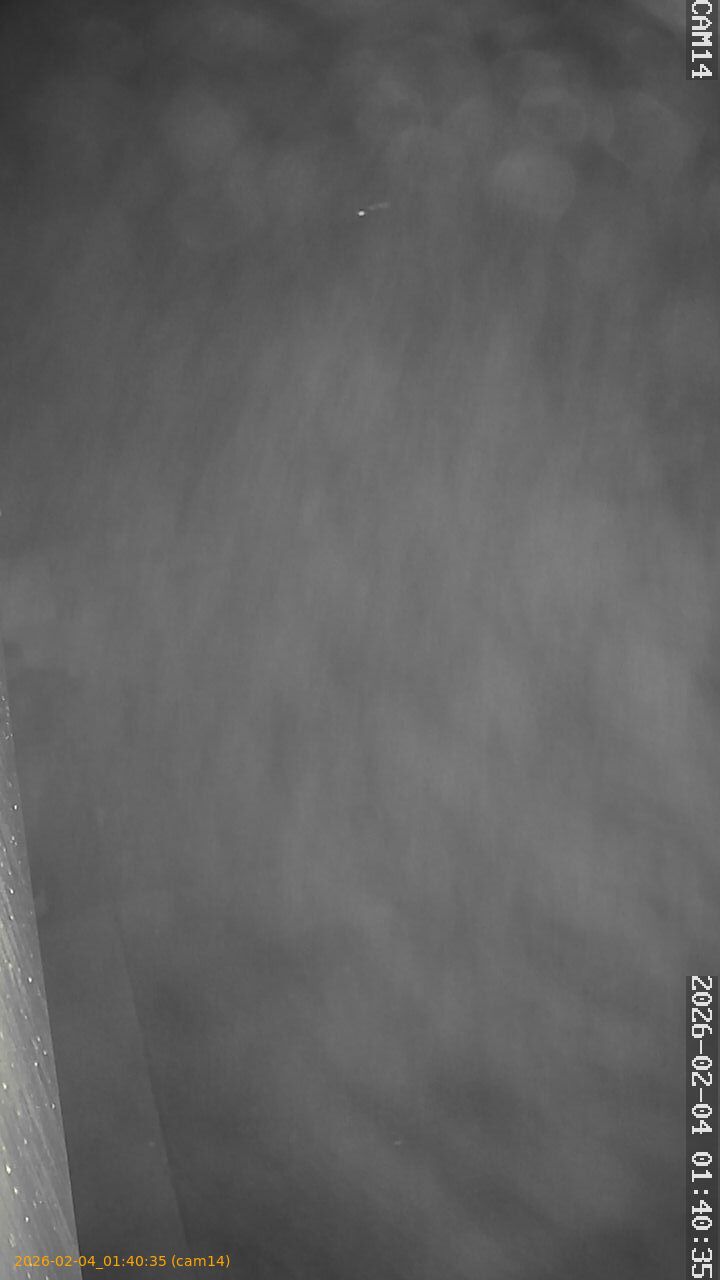 thumbnail_20260204014035